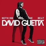 David Guetta - Nothing But The Beat