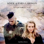 Zara Larsson & MNEK - Never Forget You